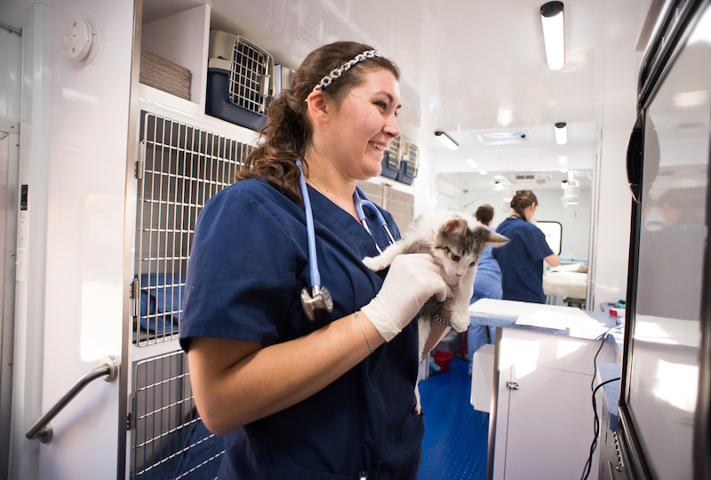 Should You Go To An Emergency Veterinarian In Nashville, TN?
